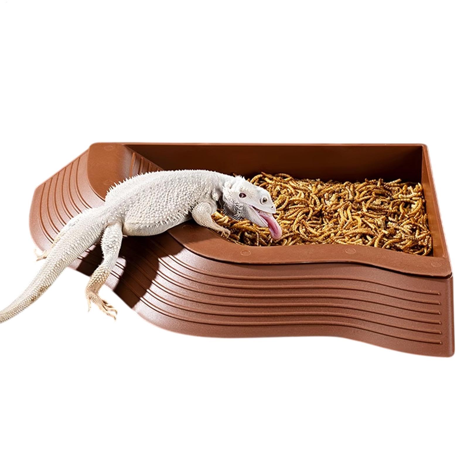 Plat à eau en forme de lézard avec rampe et piscine d'aquarium