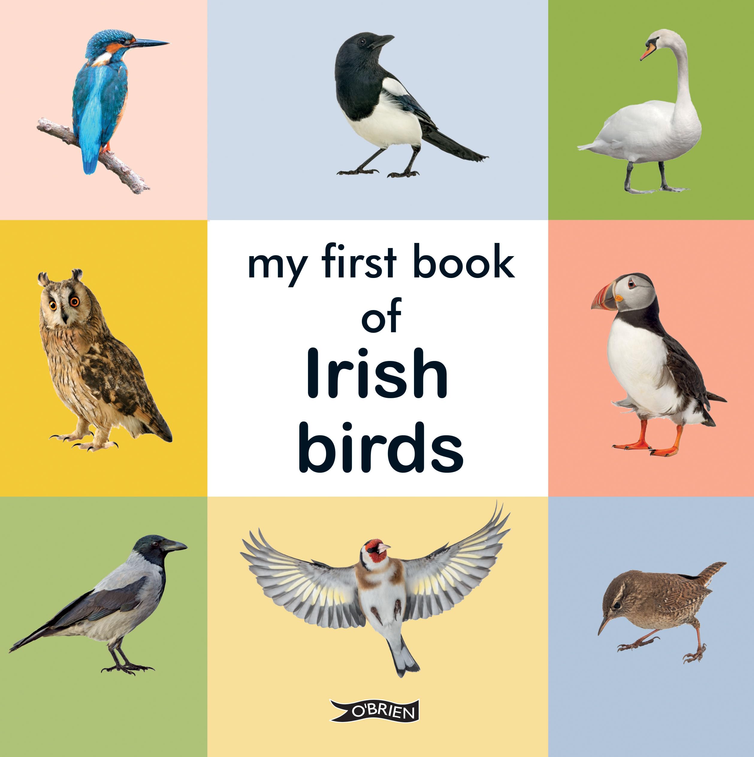 My First Book of Irish Birds (First Steps)