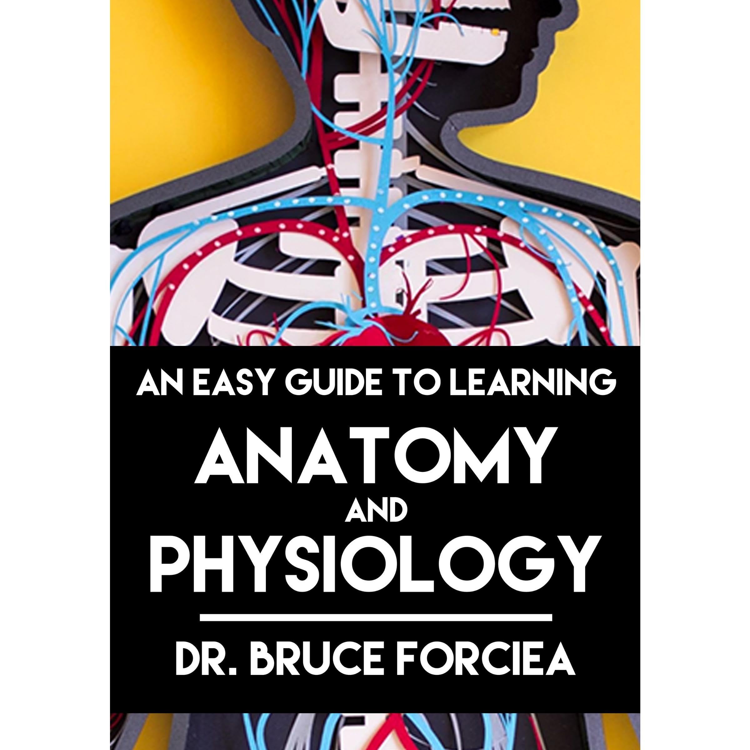 An Easy Guide to Learning Anatomy and Physiology