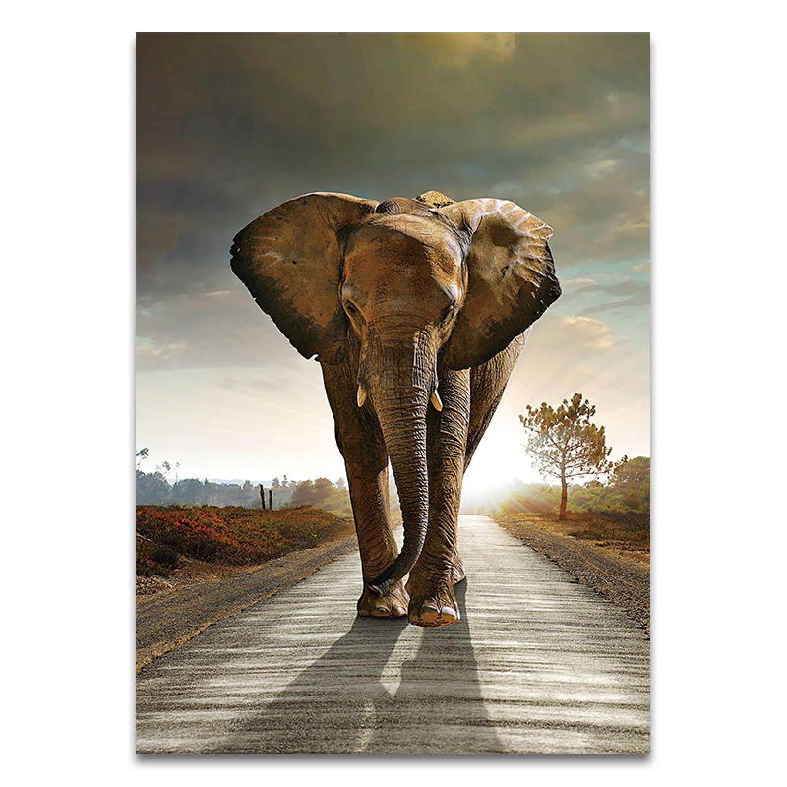 Afrika Bilder Fertig Gerahmt Bild 120x80cm XXL 5066