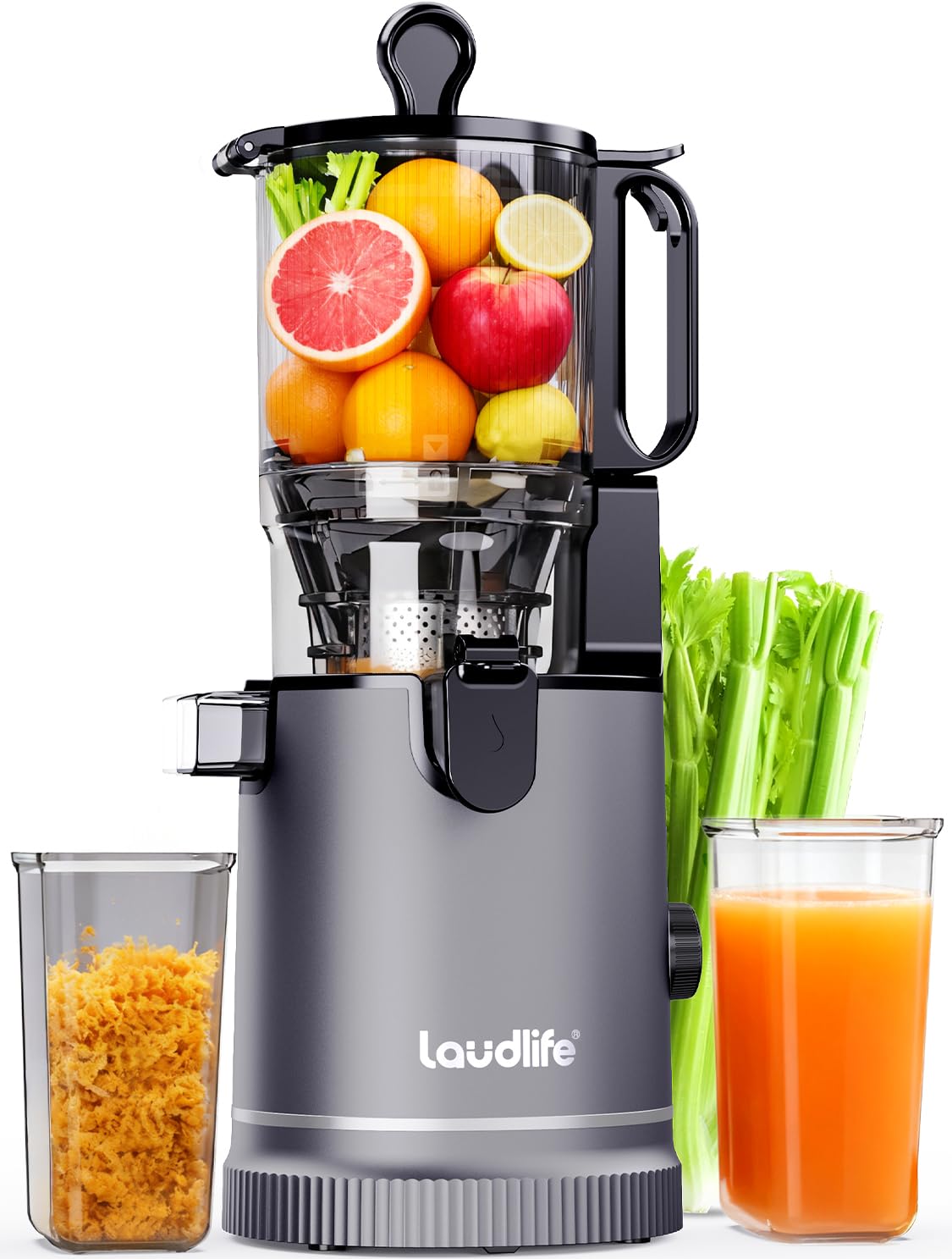 LAUDLIFE Cold Press Juicer
