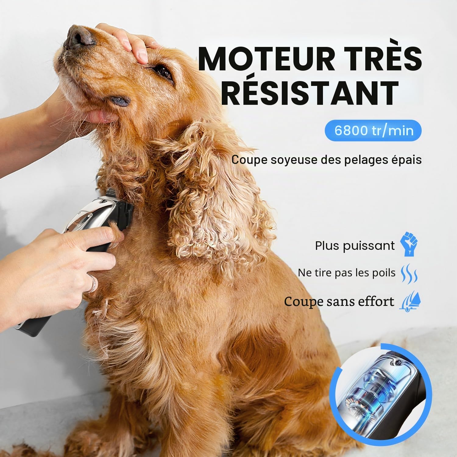 Tondeuse Chien Professionnelle pour Poils Épais – Kit de Toilettage Silencieux Rechargeable avec Lames en Céramique et Acier Inoxydable pour Chiens, Chats et Animaux