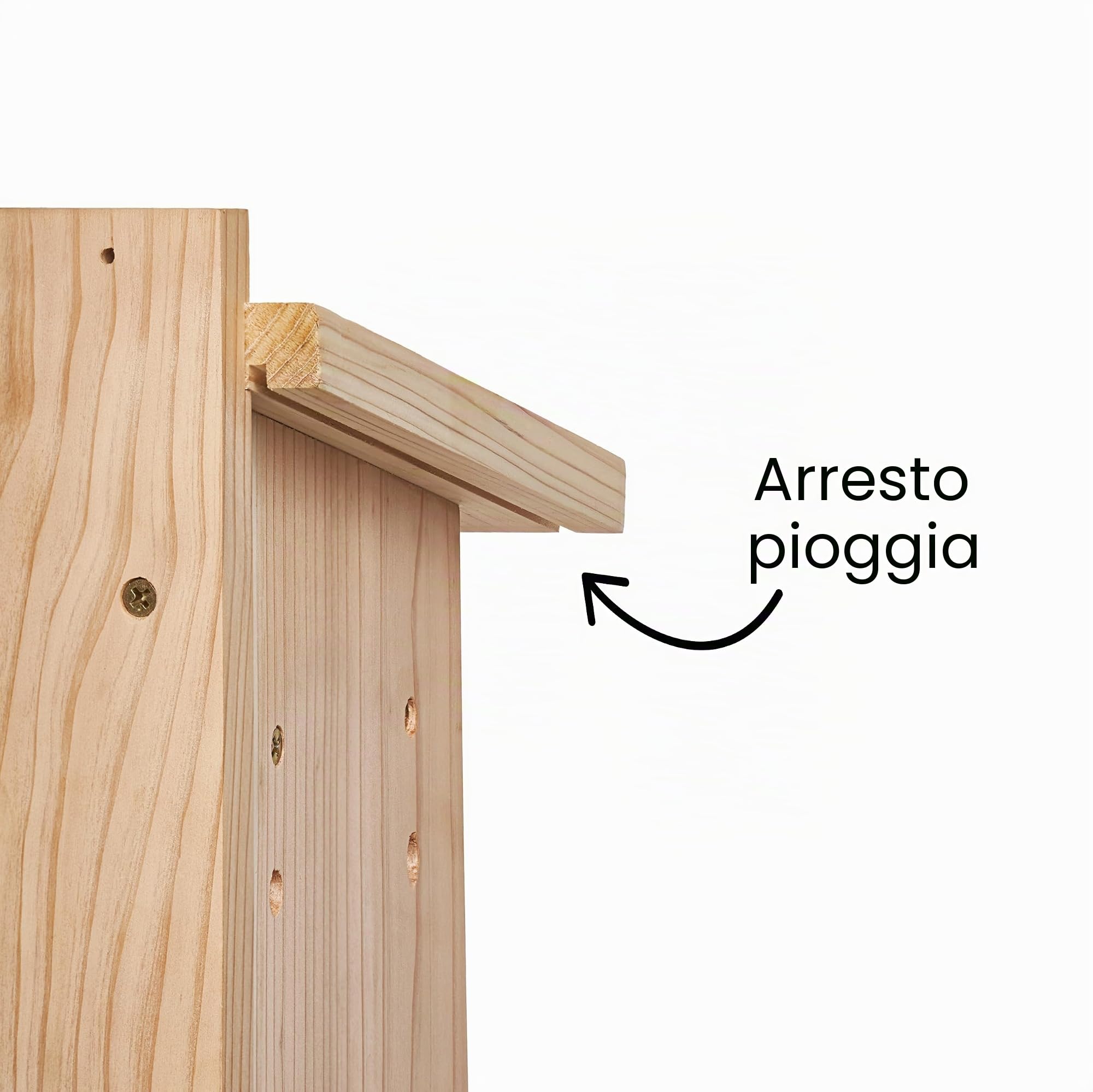 Little Birds - Casetta per uccelli in legno massiccio per telecamera lampeggiante, senza elettricità/cavo necessario, protezione contro gatti e picchi, incubatrice, casetta per uccelli