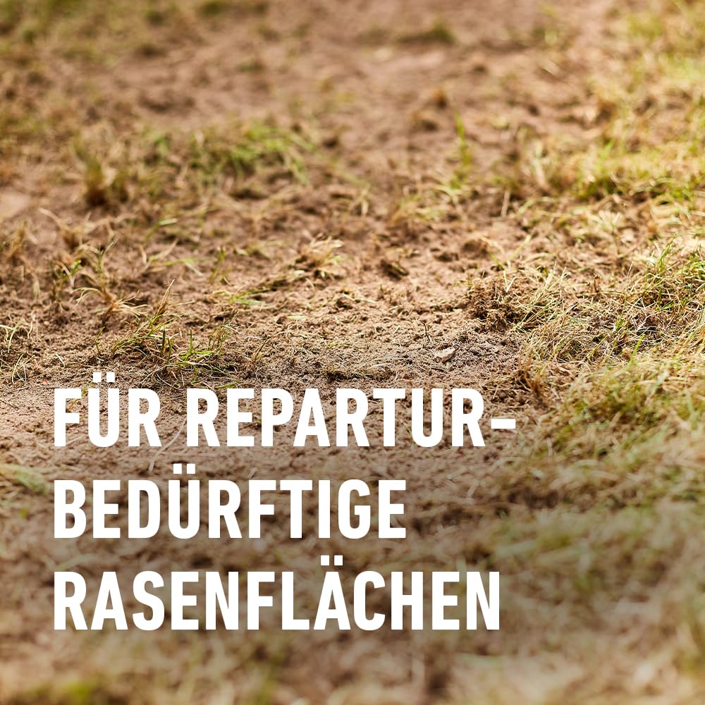COMPO Turbo‑Nachsaat, 2,6 kg für 130 m² – Premium Rasensamen schnellkeimend und mit Keimsicherheit zur schnellen Reparatur von strapazierfähigen Spiel‑ und Gebrauchsrasen, Nachsaat Rasen Frühjahr