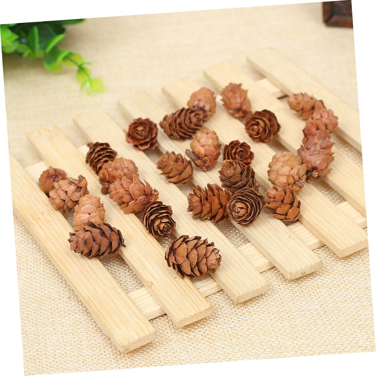 210piezas Decoraciones de Piñas Naturales Mini Piñas Secas de Adorno Vegetal para Acción de Gracias y Navidad para Decoración de Hogar