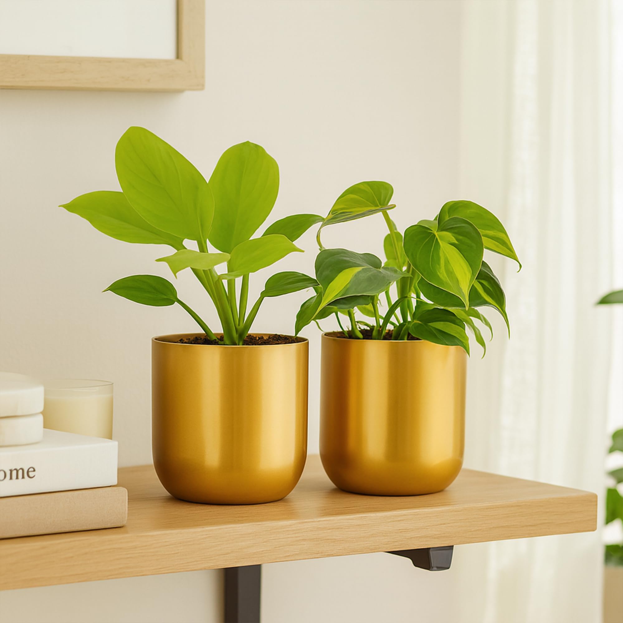 Metallic Miniature Planters - Gold Set of 2 -5