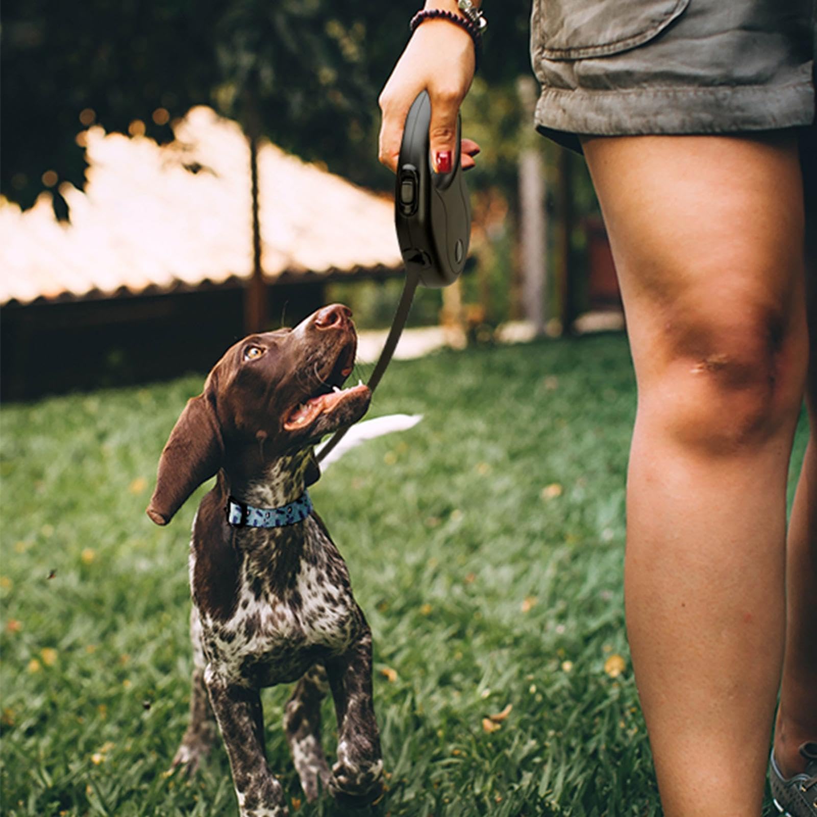 Cuerda Retráctil para Perro Muy Resistente, portátil de Exteriores | Correa Extensible en el Nylon Resistente de Cachorros para Caminar Correr Senderismo Acampar Playa Patio Trasero Pista
