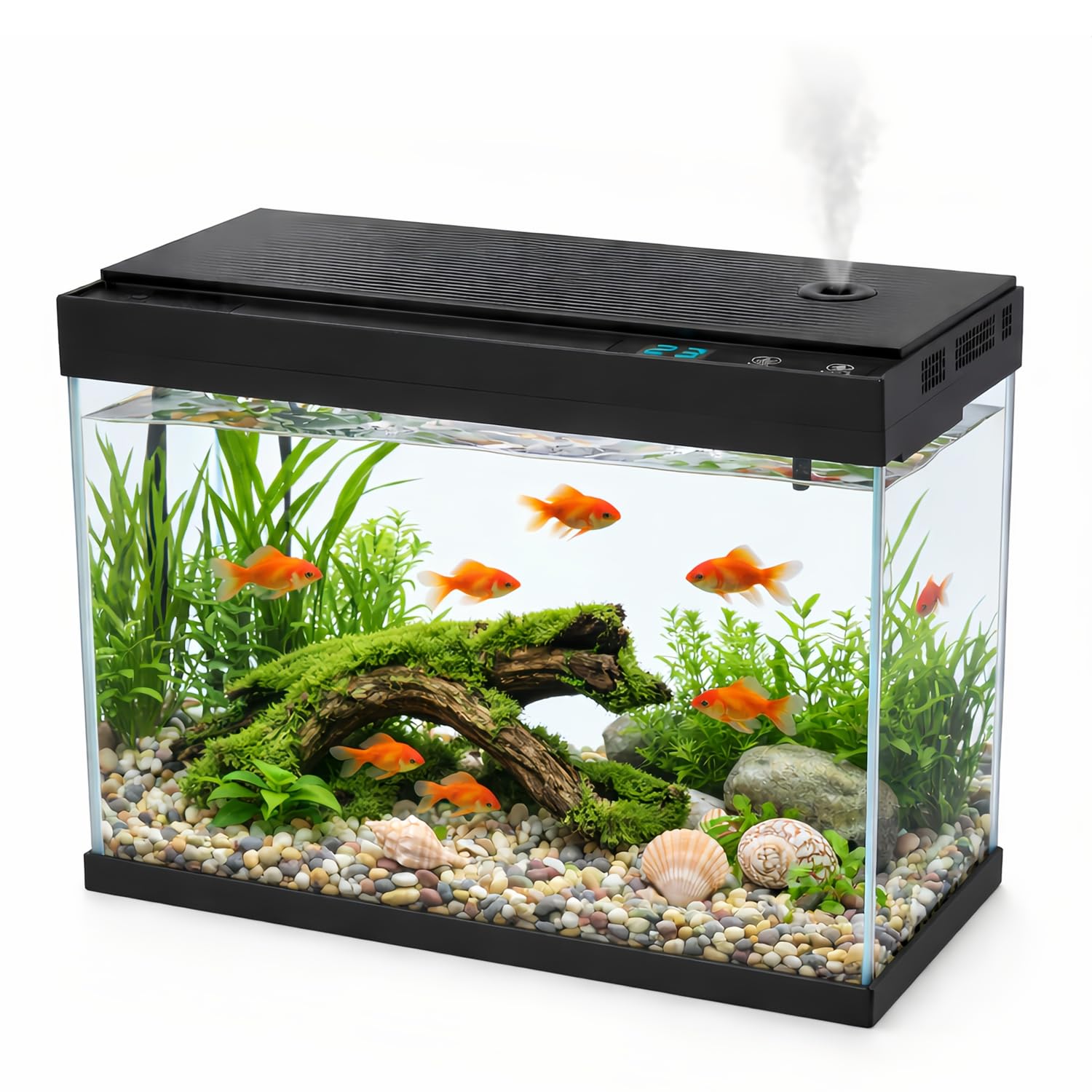 BarkBuddy 2.4 Gallon Desktop Betta Fish Tank