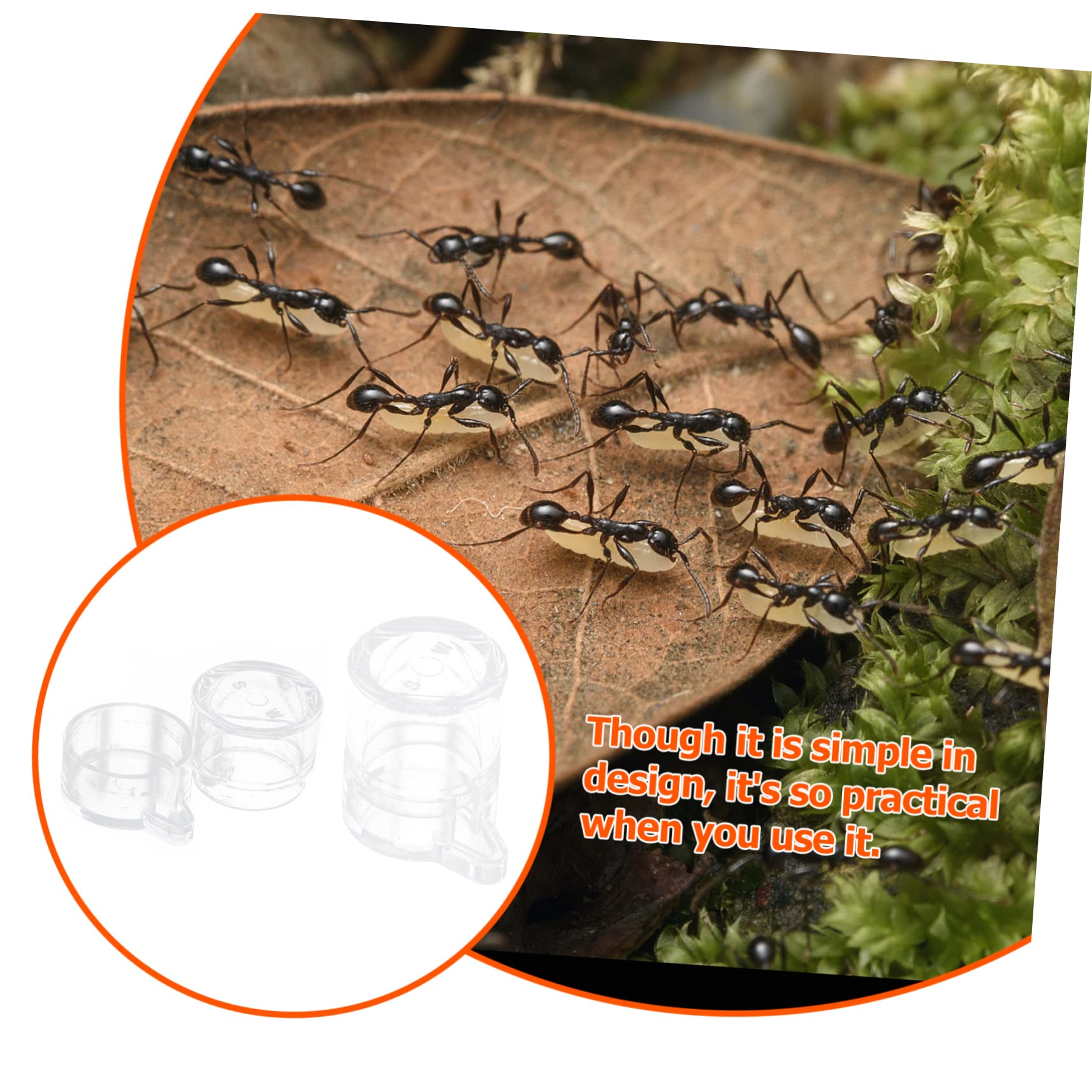Kisangel 2 Pièces Alimentation pour Fourmis Acrylique Mangeoire et Récipient D Eau Transparent pour Observation des Fourmis