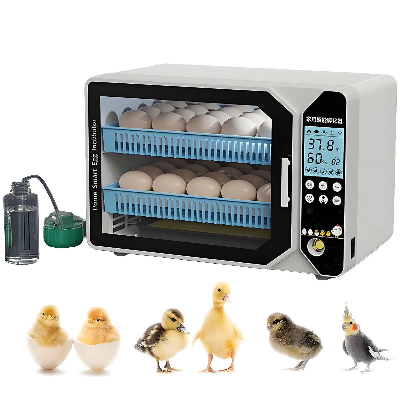 Incubadora automática completa para huevos de gallina, volteador de huevos, control de temperatura, recarga de agua, bandeja de huevos ajustable, 2 capas