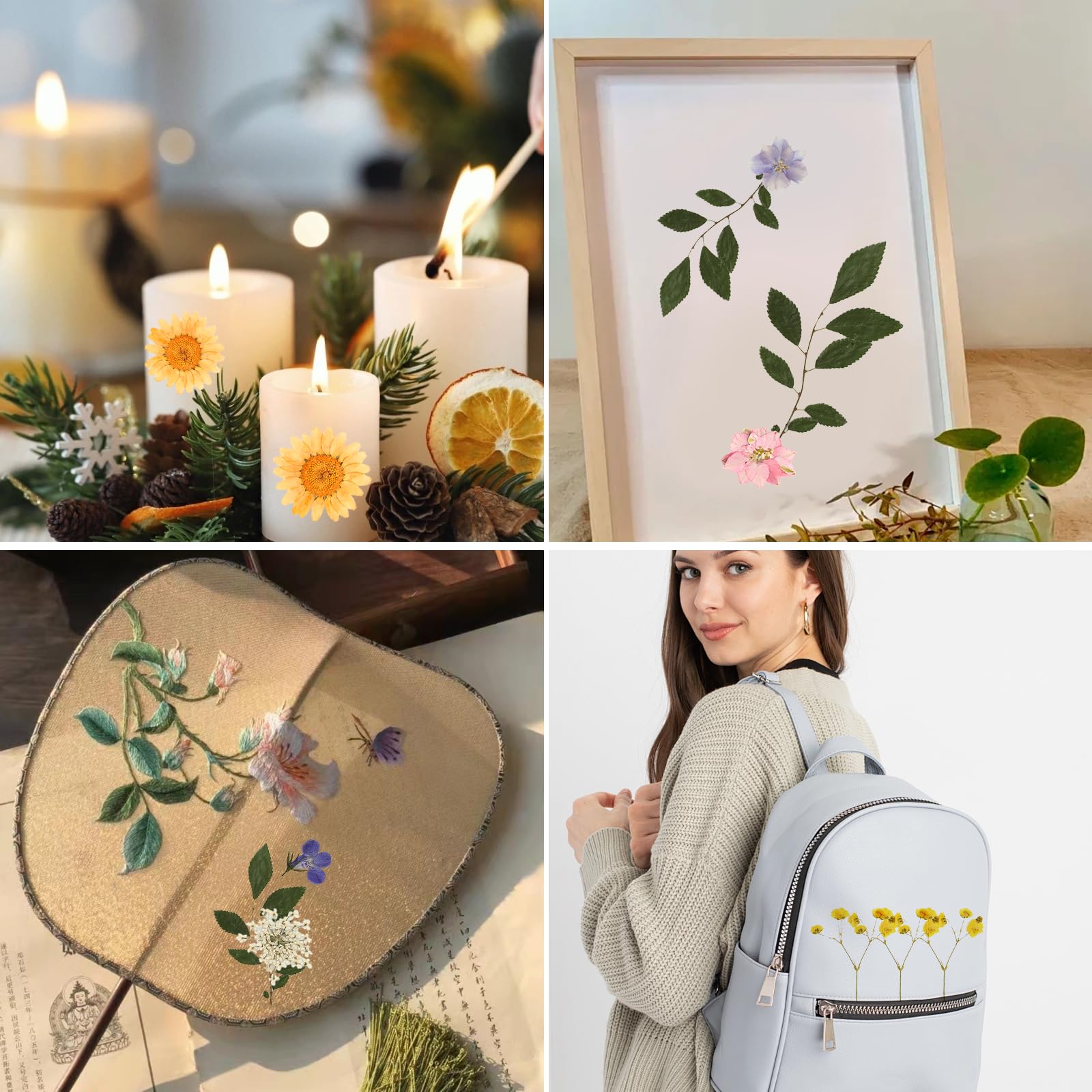 Suszone kwiaty zestaw, 66 sztuk prasowanych kwiatów i suszonych kwiatów, suszone kwiaty do robótek na świece DIY, żywica, biżuteria, małe suszone kwiaty do scrapbookingu i dekoracji.