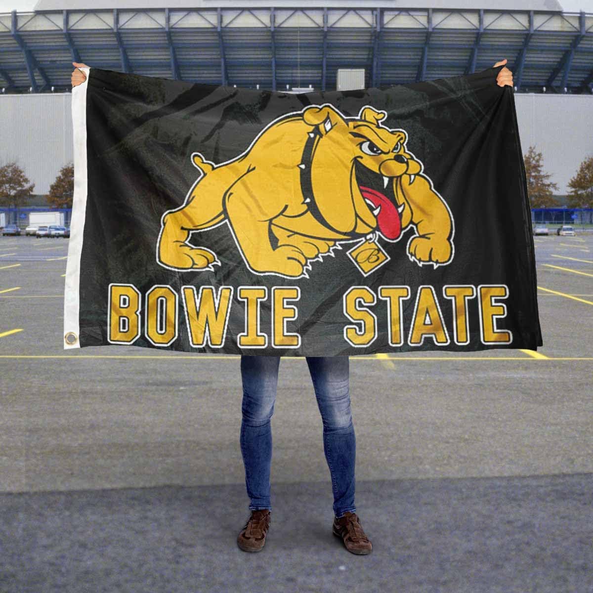 BSU Bulldogs Large 3x5 College Flag