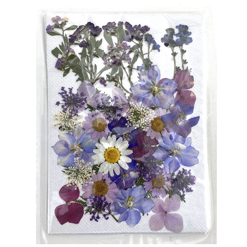 CENPEK Dried Pressed Flowers Natural Dried Flowers Real Pressed Flowers Colorful Dry Flowers for Resin Jewelry Nail Art Craft DIY (Purple)