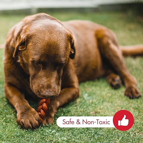 Miniatura 3 de SPOT by Ethical Products - Varilla trenzada de bambú, anillo, juguete triple masticable, juguetes para perros con sabor a nogal y bisonte, compras