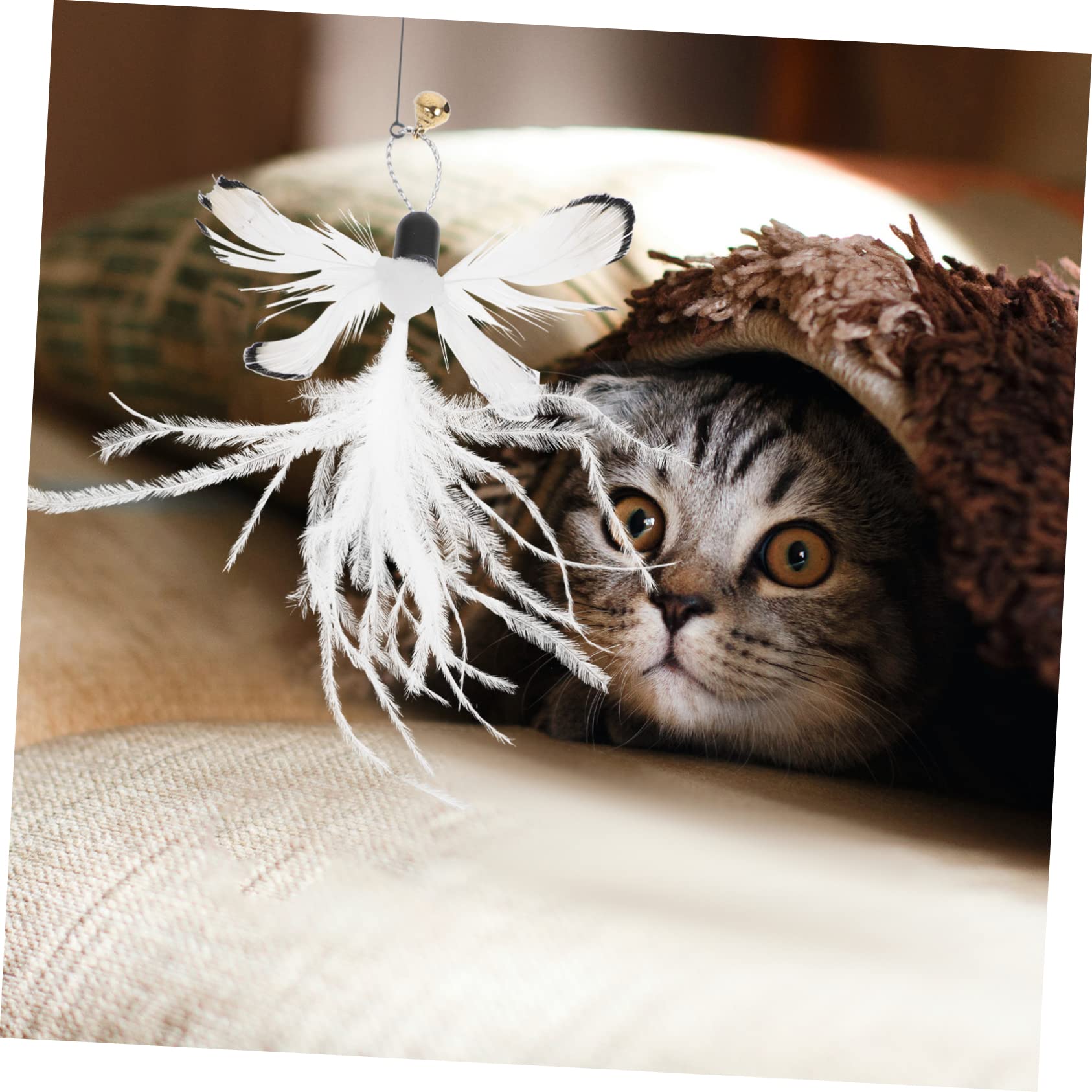 VANZACK 30stücke Teiliges Interaktive Katzenspielzeuge Mit Federn Und Schmetterlingen Ersatzköpfe Für Katzenangel Fördert Spiel Und Für Katzen Und Kätzchen