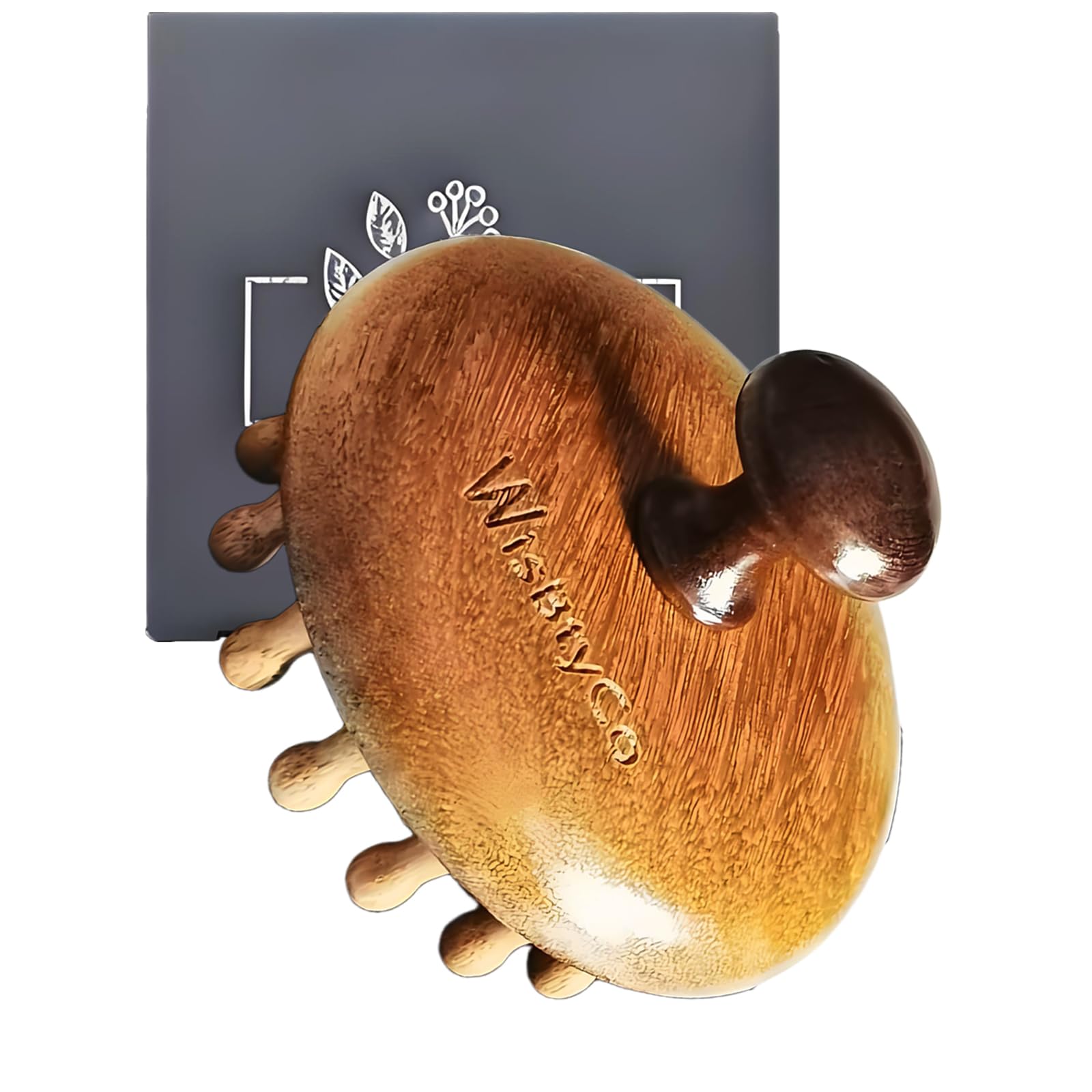 WisBtyCo Massage Hair Brush,Sandwood Hair Scalp Massager with 28 Pins, Wooden Scalp Massage Comb, Wooden with Handle, for Men and Women, Full Body Hair Brush