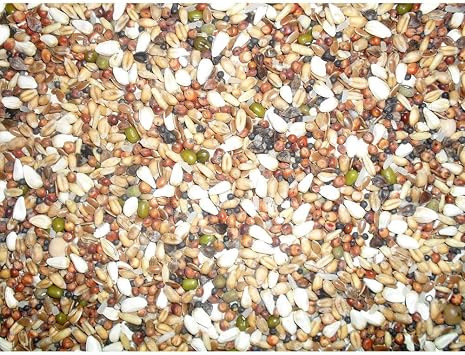 Johnston & Jeff Pigeon Trapping Mixture, 12.5 kg
