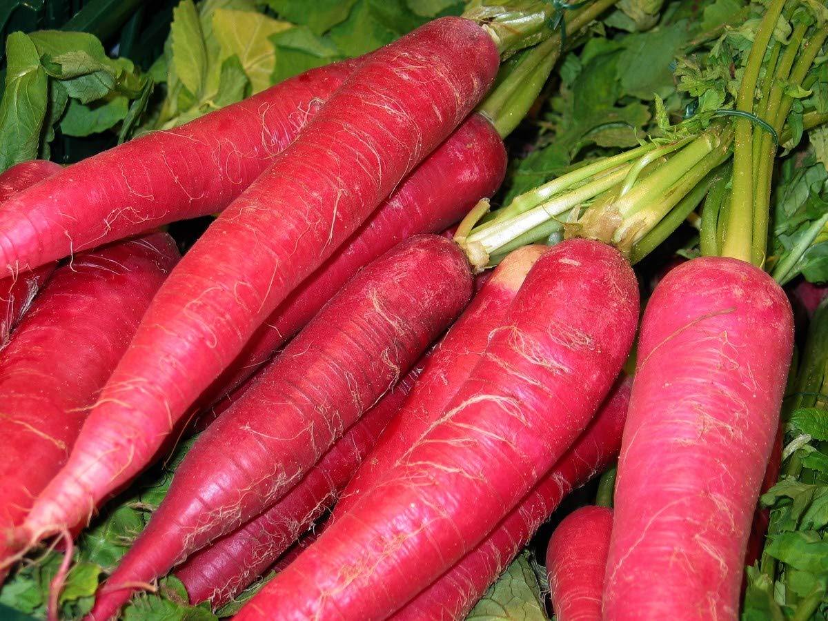Red Carrot/Gajar Organic Vegetable Seeds (B07MTD5ZKR) Amazon Price History, Amazon Price Tracker