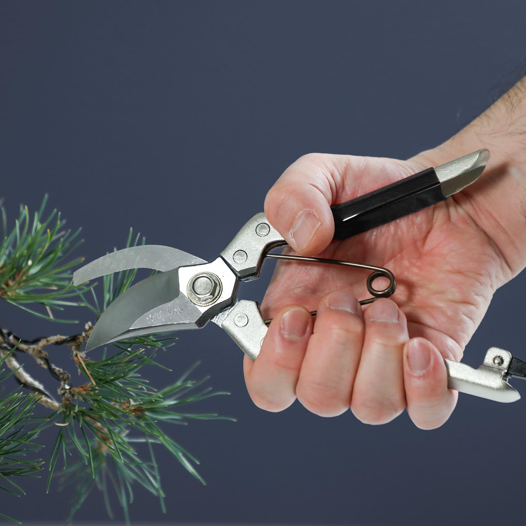 Wazakura Japan Forbici Ishihara-sensei Signature Bypass per Bonsai in Acciaio Inox Yasugi Fatte in Giappone - Attrezzi da giardinaggio giapponesi