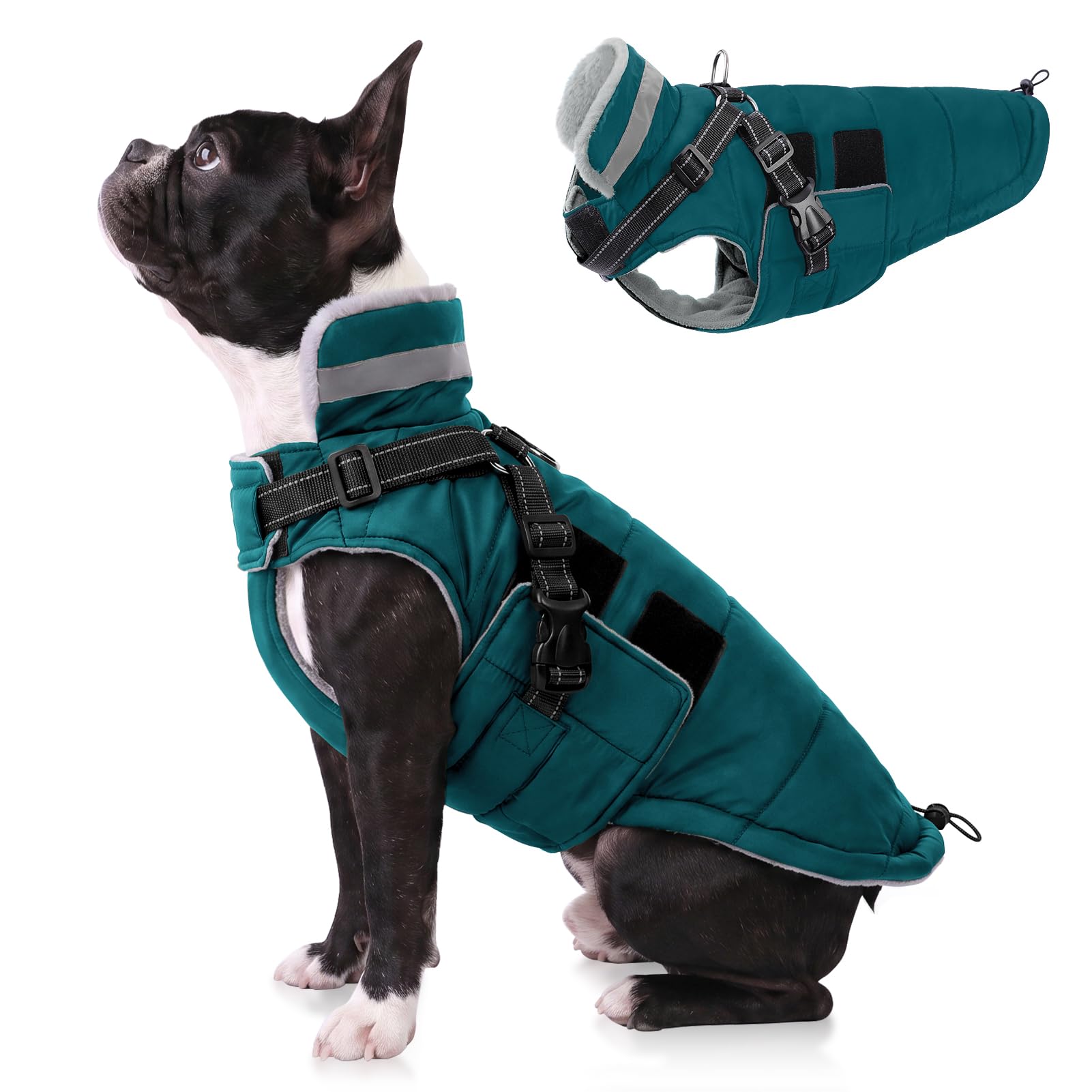 Queenmore Dog Coats Waterproof Dachshund Coat with Harness, Easy-on