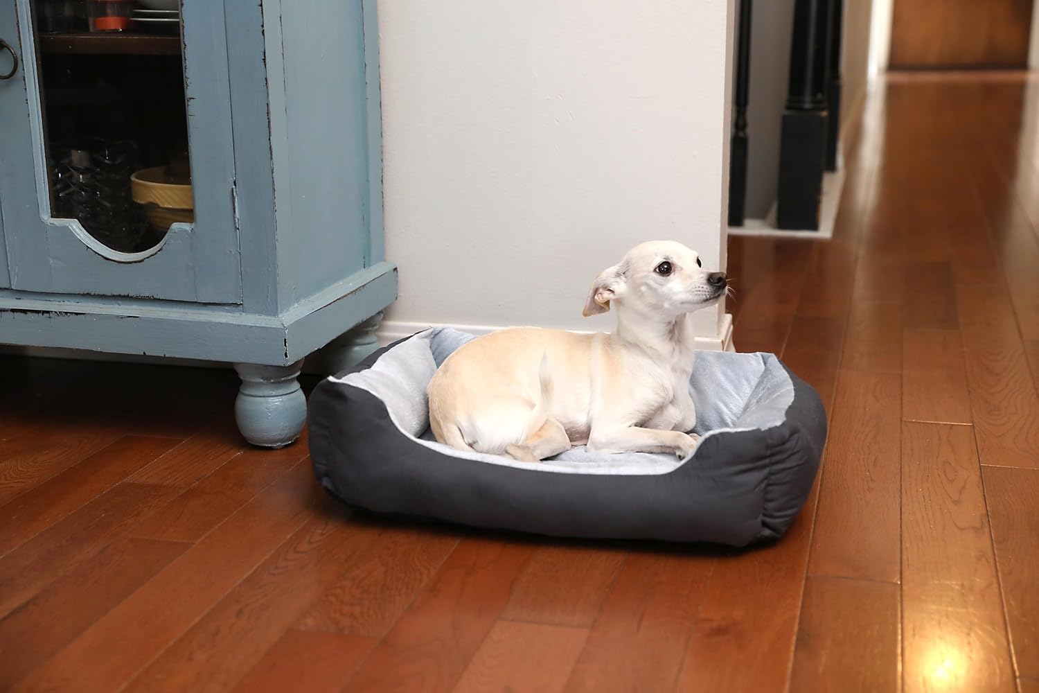 Cozy Comfort: A Review of the Petmate Cuddler Dog Bed for Small Breeds