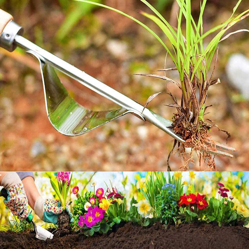 Extractor de maleza de Acero Inoxidable,Weeder de Mano de Jardín,Malas Hierbas Herramienta,Escardador con Mango de Madera,para Jardinería de Herramientas de Desmalezado Extractor de Malas Hierbas 31CM