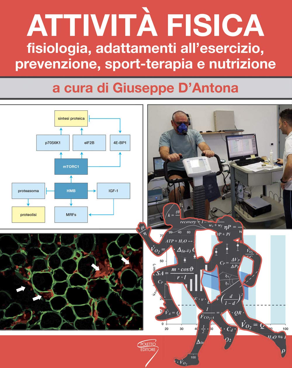 Attività Fisica. Fisiologia, Adattamenti All'esercizio, Prevenzione, Sport-Terapia E Nutrizione. Con Contenuto Digitale Per Download E Accesso Online - 4