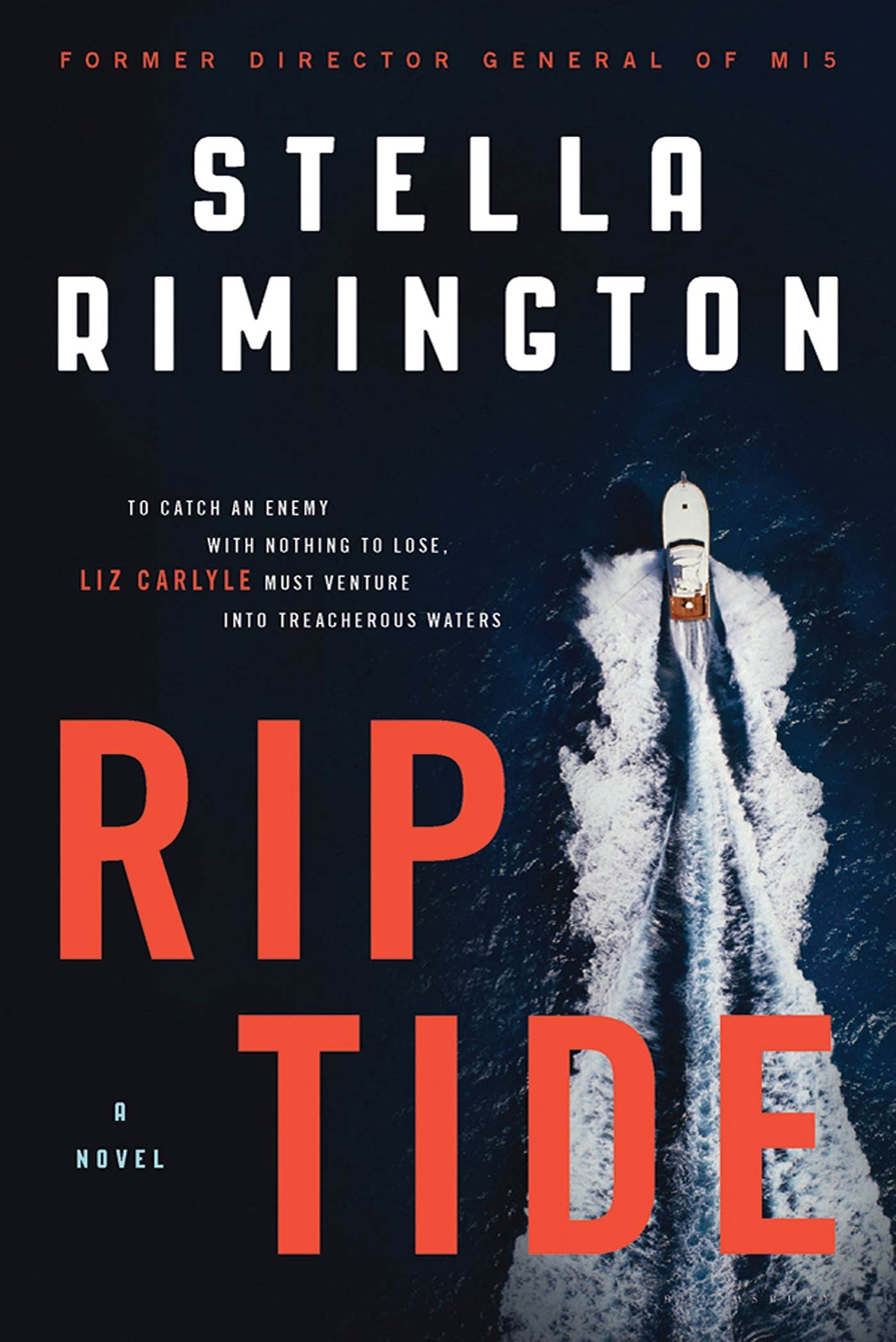 Buy Rip Tide: A Novel — BookShops.in