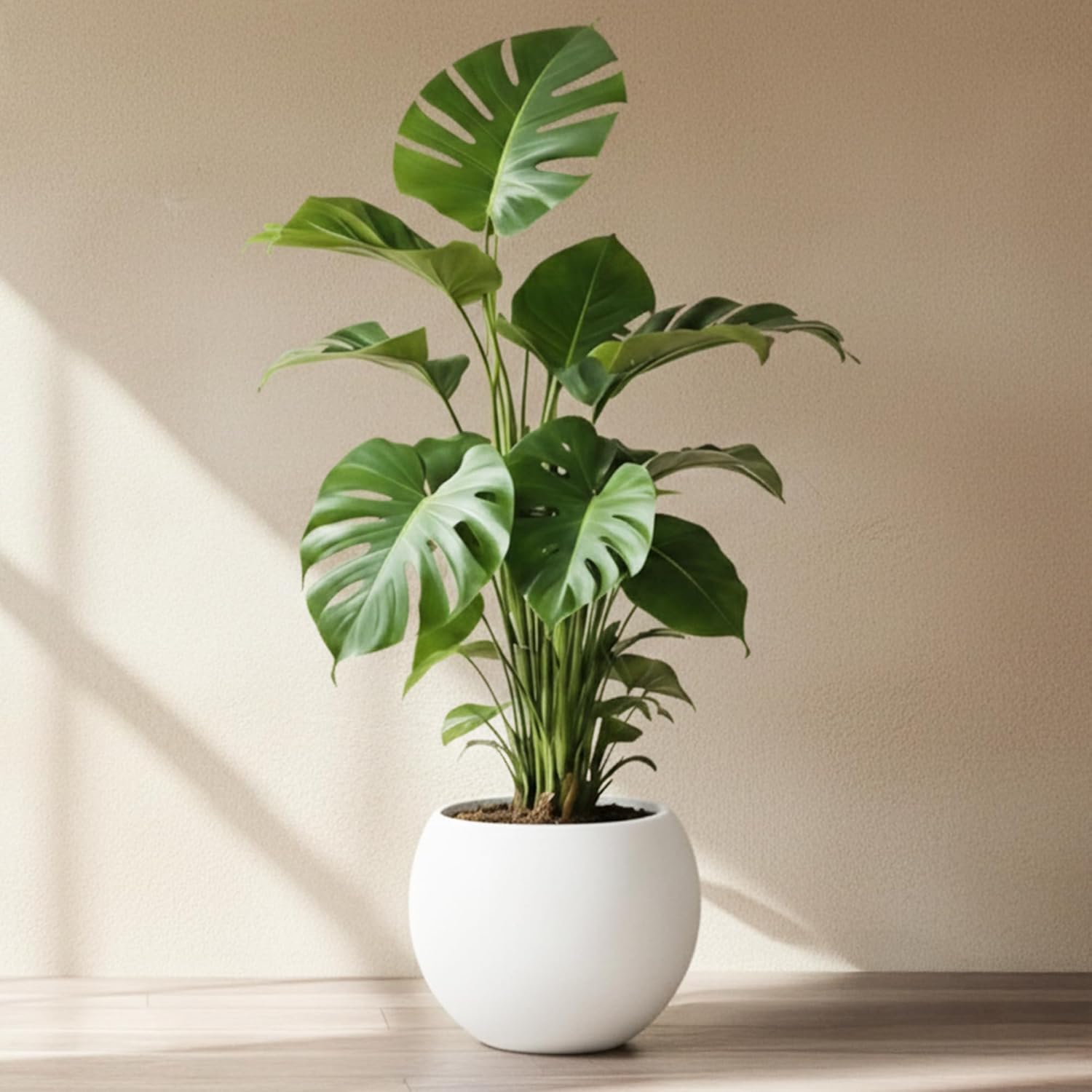 Marlo Fiberstone Round Planter (8.5" Pot Opening x 12..6" D x 9.8" H) Smooth Finishes, Lightweight, Durable, UV Resistant, Modern Minimalist Home Decor, Indoor Outdoor Plant Pot (S, White)