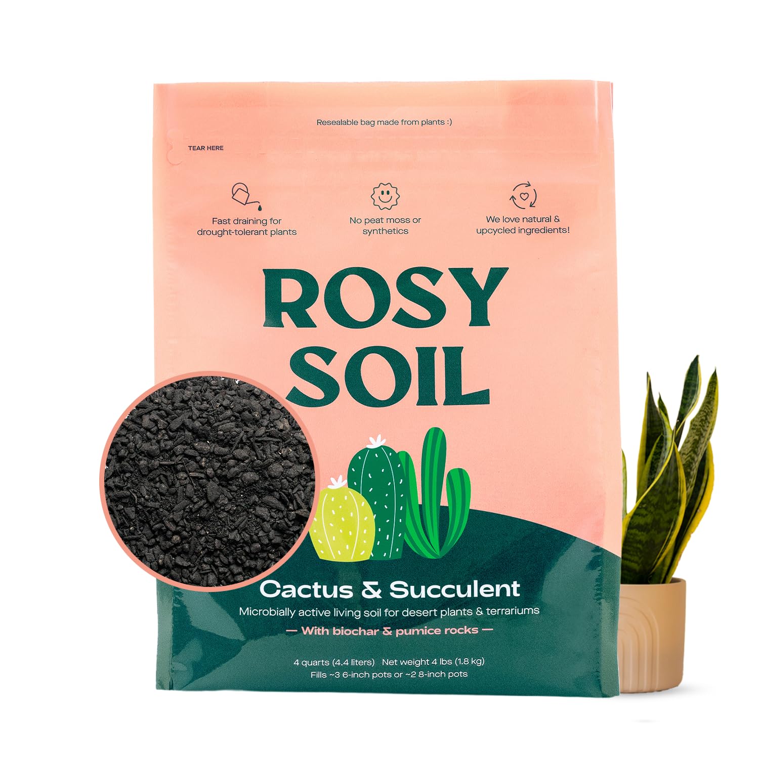 Rosy Soil Cactus and Succulent Organic Potting Soil Mix