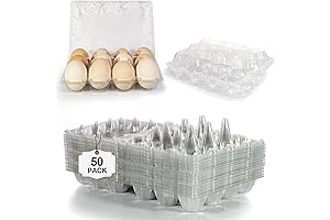 50 Pack Egg Cartons Cheap Bulk - Clear Blank