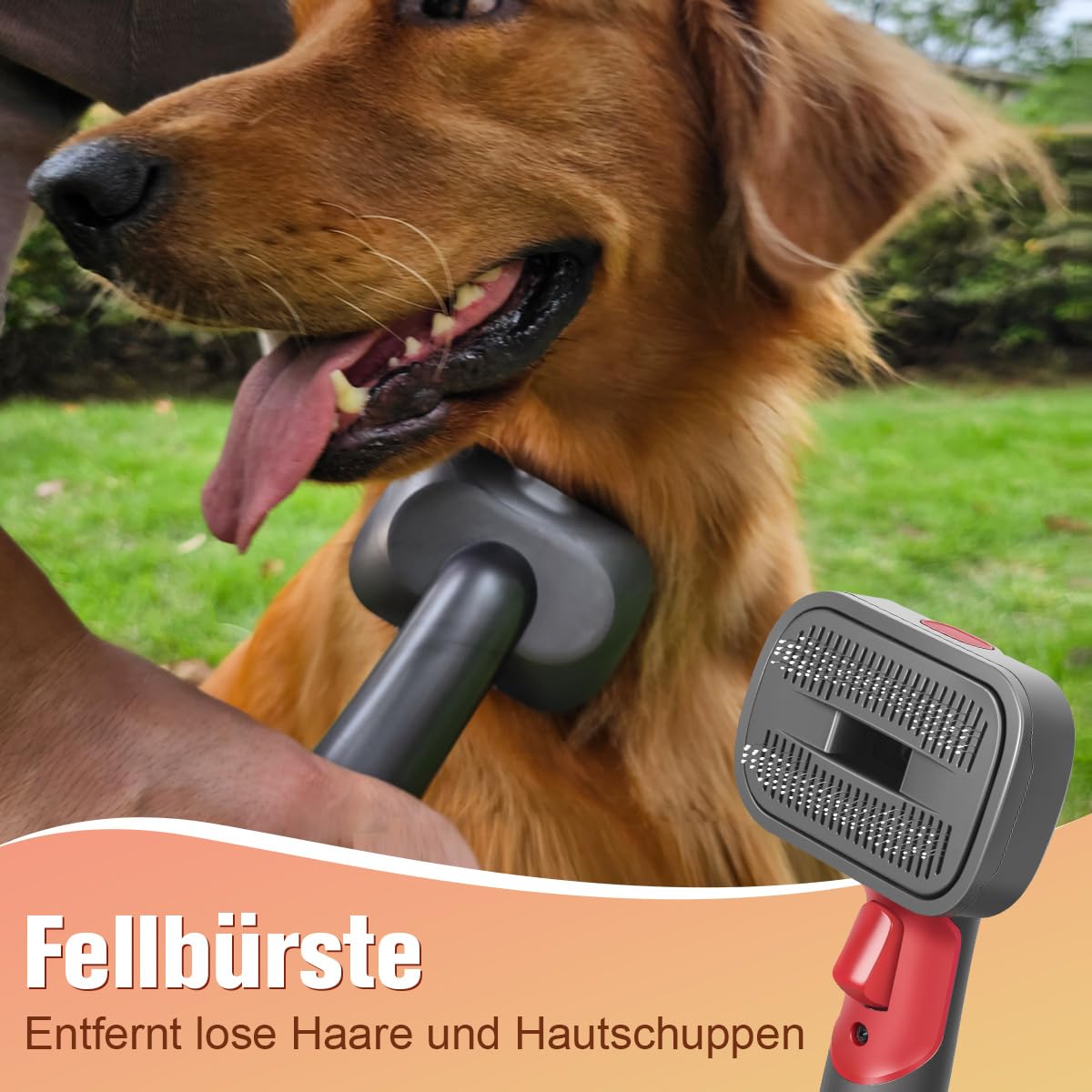 2 in 1 Hundehaar Staubsaugerbürste Kompatibel mit Dyson Gen5 V15 V12 V11 V8 V7, ideal zum Entfernen von losen Haaren, Hautschuppen, Unterwolle und Verfilzungen