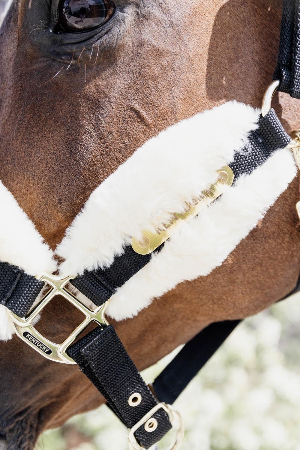 Nylon, cavezza in lana/pelliccia morbida naturale Cob