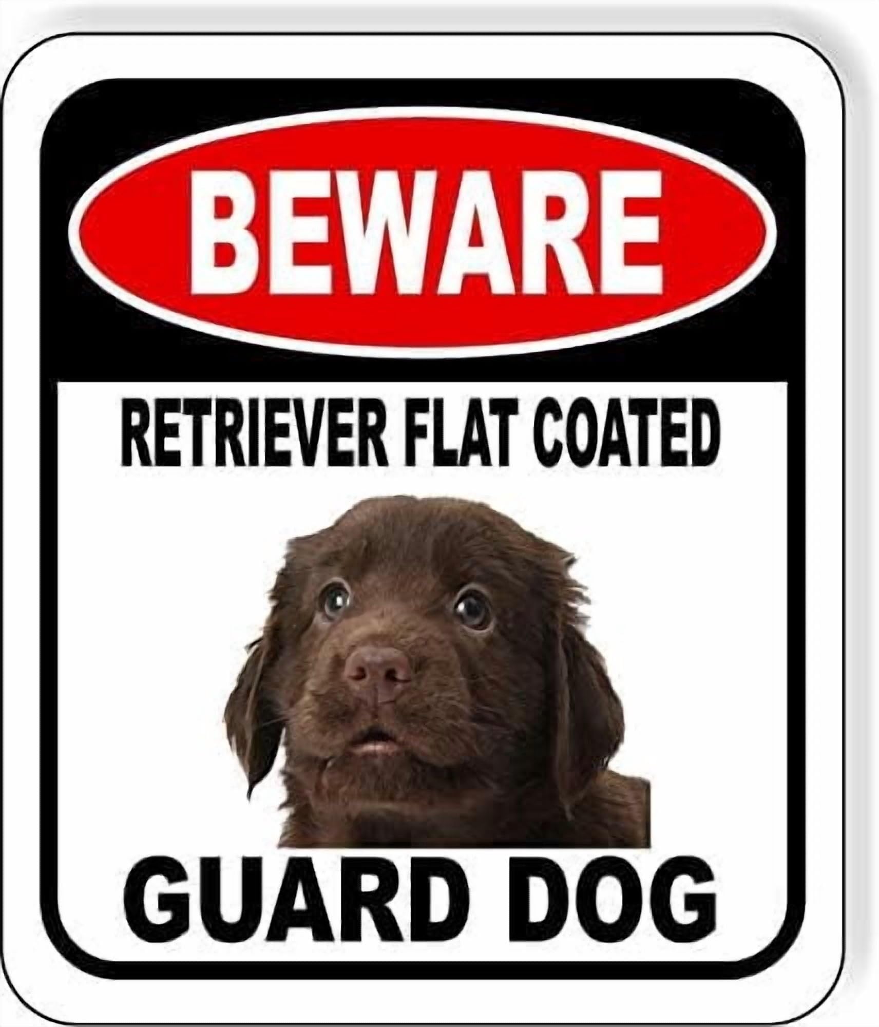 (2-Pack) Metal Tin Sign BEWARE RETRIEVER FLAT COATED GUARD DOG Composite Outdoor Sign 12" x8" Security Notice for Yard, Fence, Porch, Property,Business，No Trespassing, Warning, Attack Dogs, Protection