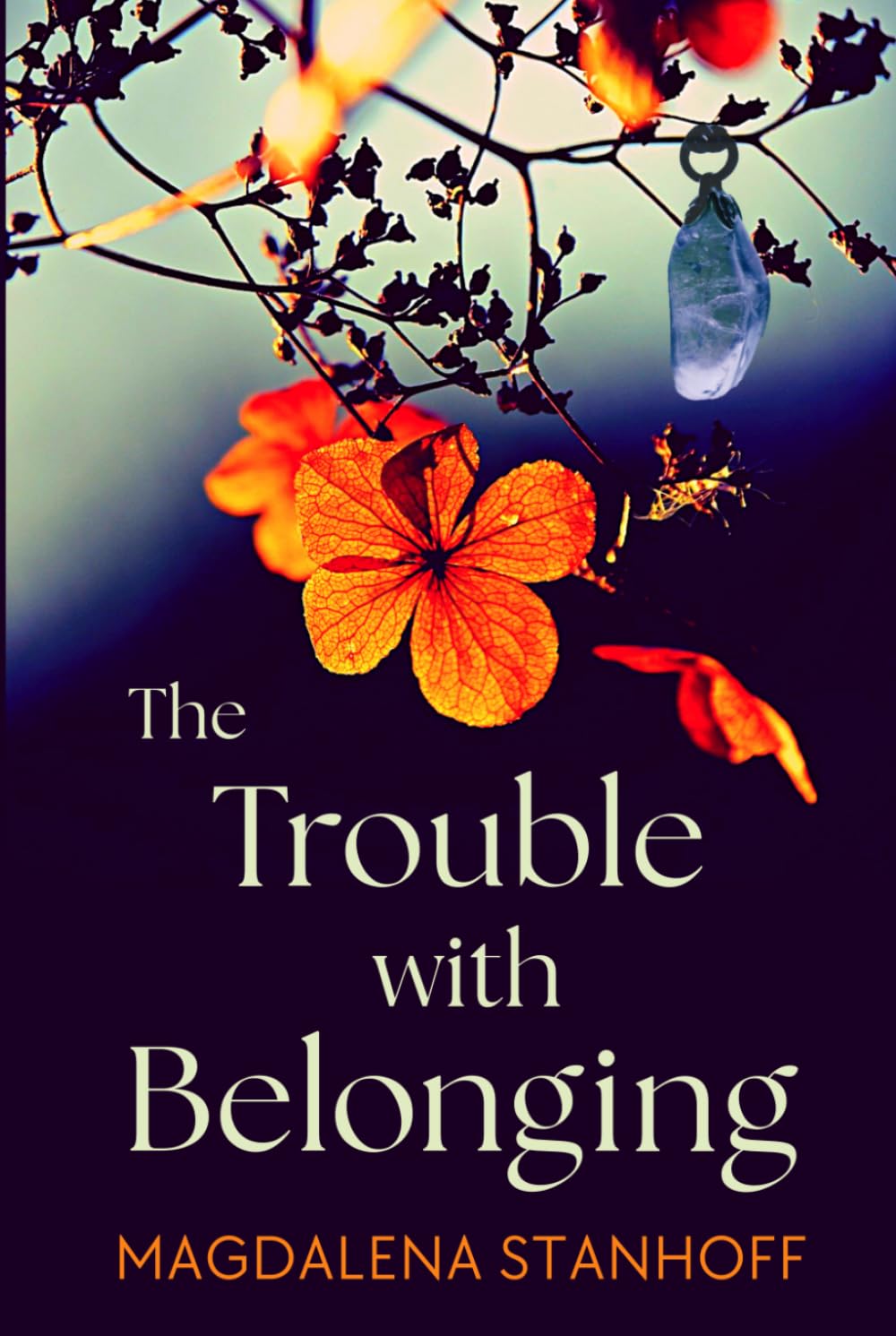 The Trouble with Belonging: a coming of age literary love story novel (Migrant Birds)