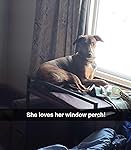 Review Image by Amazon Customer Amazon Customer