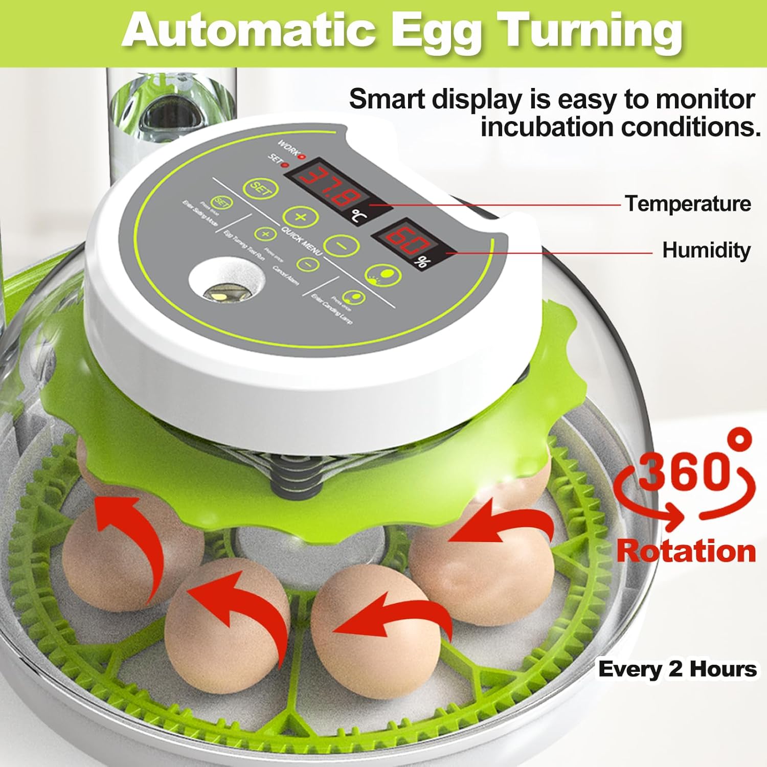 Automatic egg turning mechanism