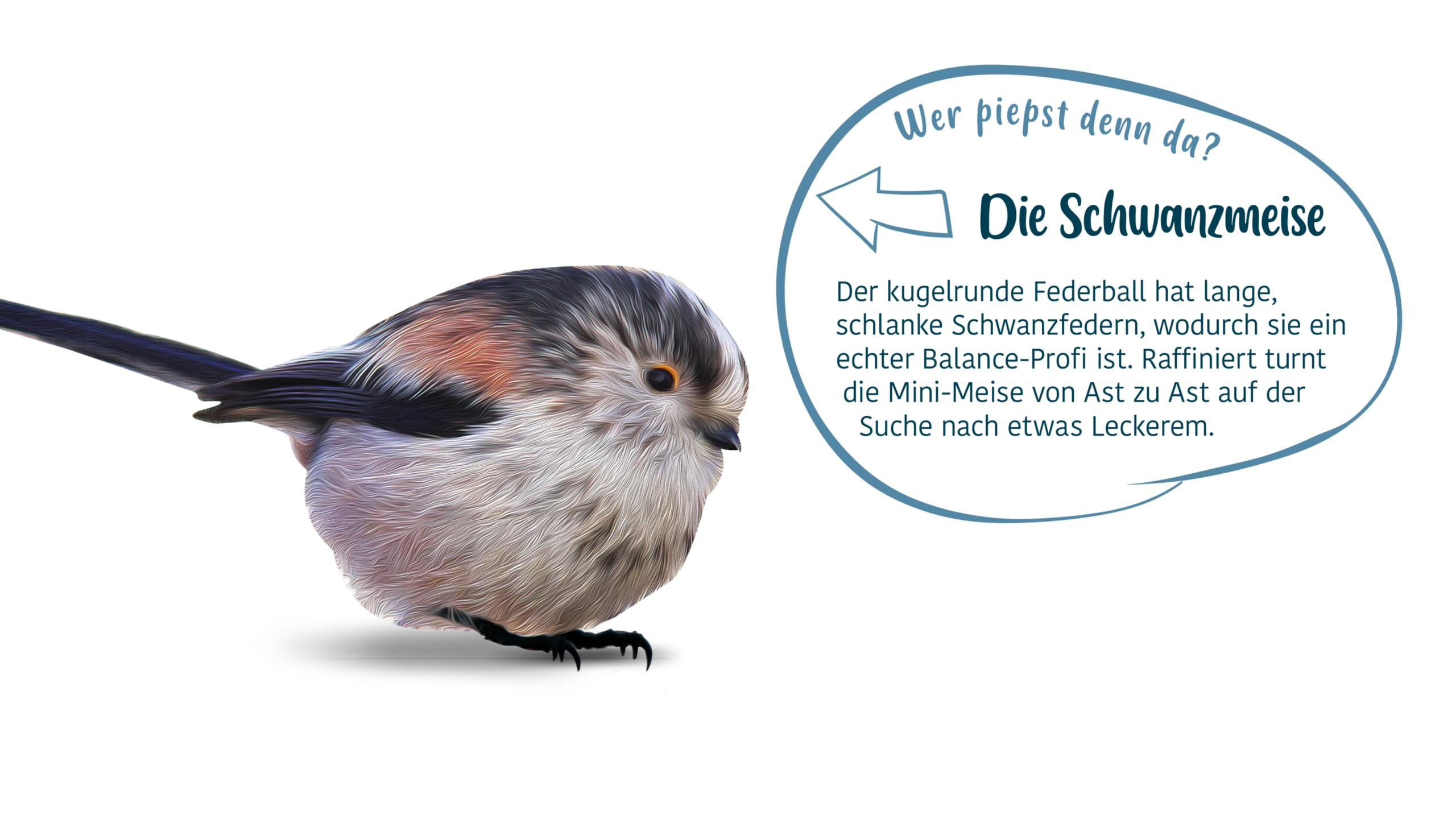 Elles Meisenringe 20 x 3 Stück I Nährstoffreicher Snack & Vogelschaukel I Erlesene Zutaten I Futer für Wildvögel