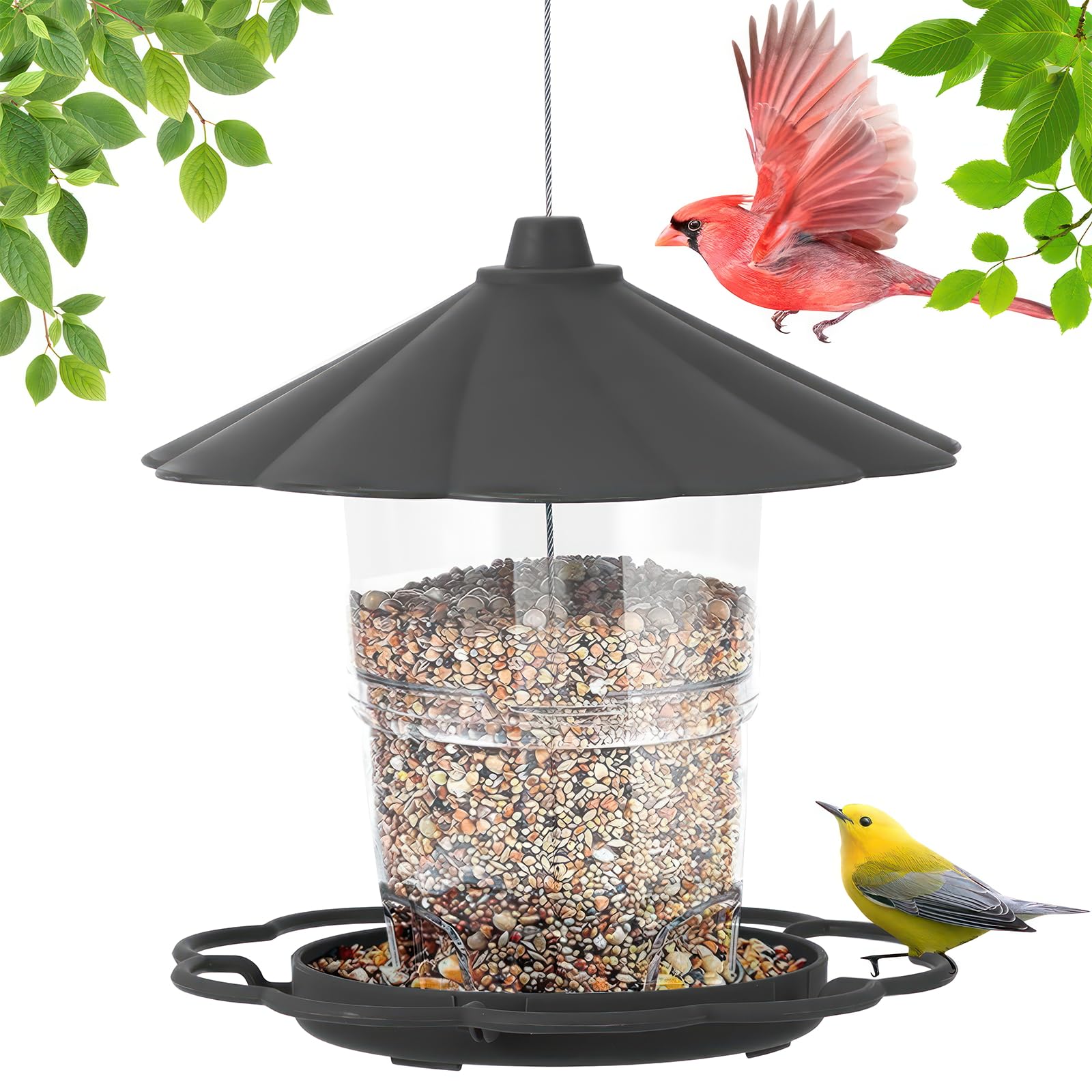 Mangiatoia Uccelli Appendere 850ml - Anti Scoiattolo Con Copertura - Foto 5