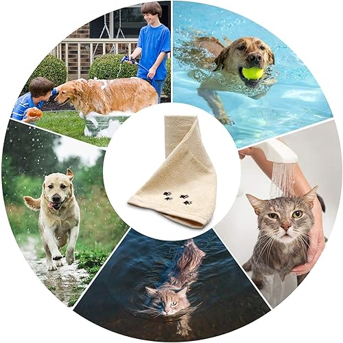 Miniatura 6 de DAN RIVER Toalla para perro, paquete de 1, 100% algodón, 20 x 40, ultra suave de 450 GSM, toalla súper absorbente y de secado rápido para perros,