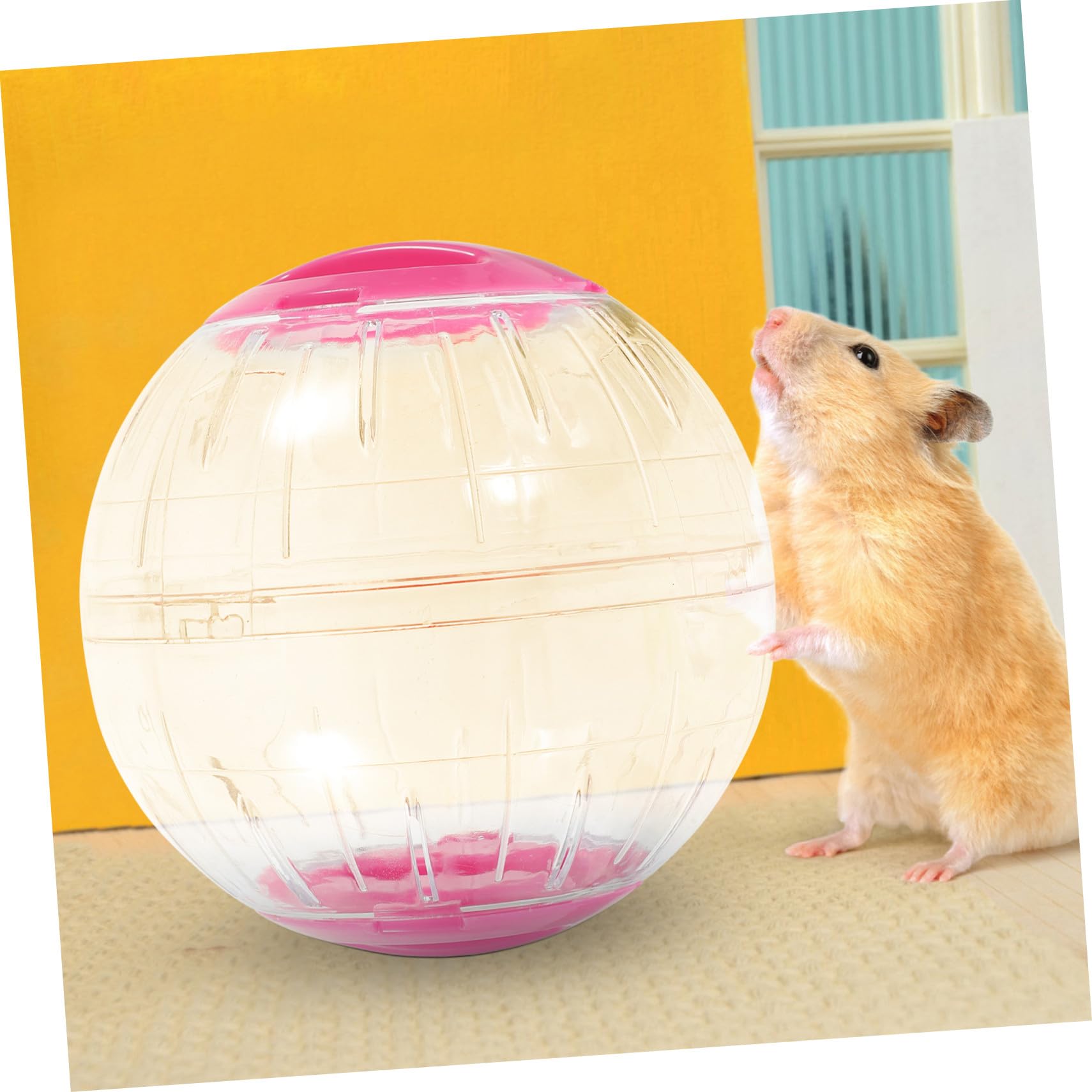 COLLBATH 4 Pièces Balle d'exercice Transparente pour Hamster et Petit Animal Roue silencieuse Anti-évasion Portable pour Souris Gerbille et Cochon Lot de Couleurs Bleu et Rose