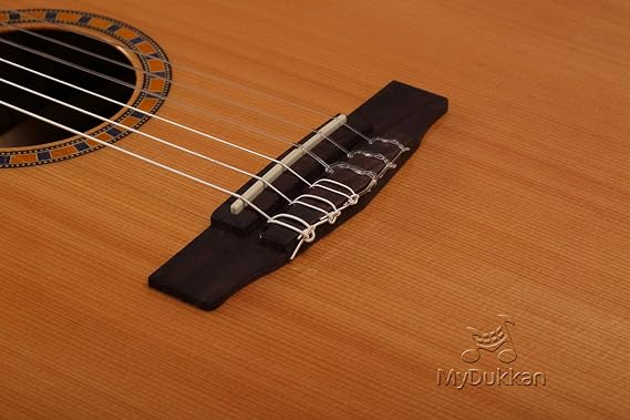 Cort CEC5 NAT Electro Classic Guitar