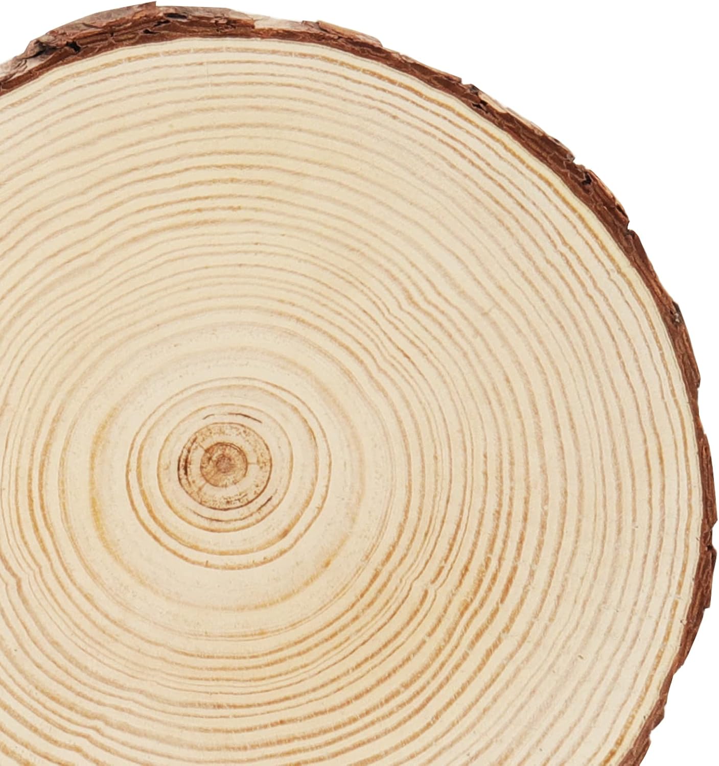 MANCHAP 6 PCS 18-20cm Wood Log Slices, Unfinished Round Wood Discs Wooden Circles for Crafts Painting, DIY Projects - Image 5