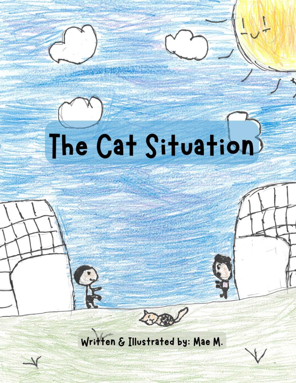 The Cat Situation