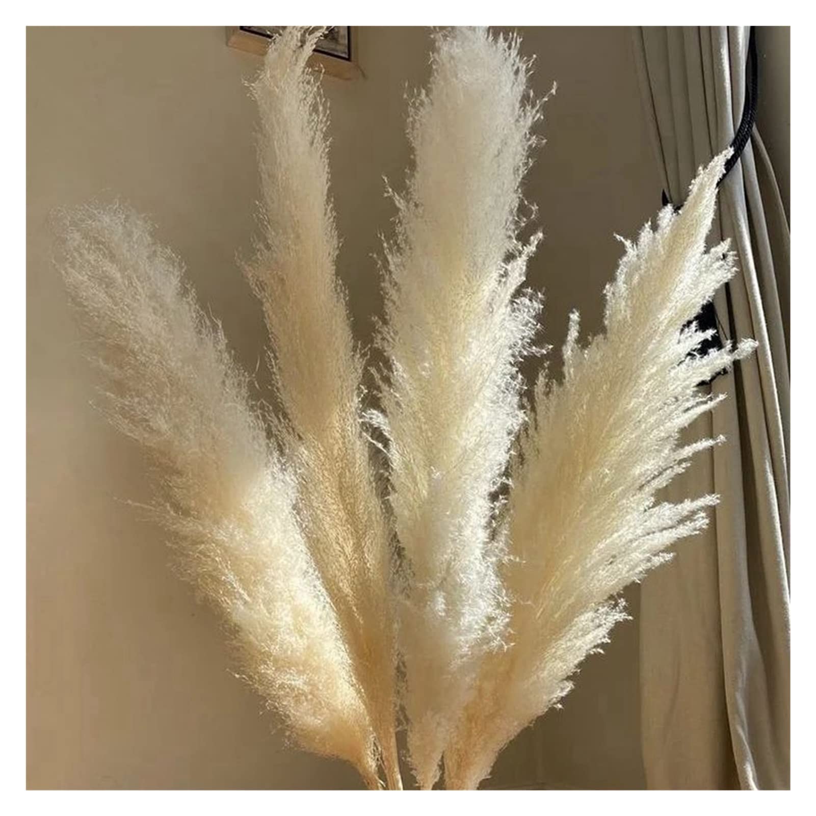Amazon.co.jp: ZHANGTIAN 80cmの大きなパンパスグラスの装飾ふわふわの