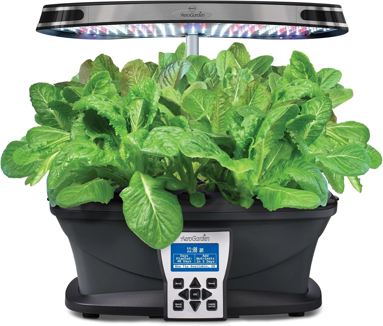 AeroGarden Mixed Romaine Lettuce Seed Pod Kit (7-pod)