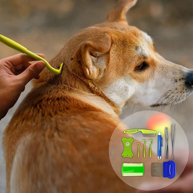 Foto 6 de 7 de DALAETUS 10piezas Pinzas para Garrapatas Set, Inoxidable Gancho para Garrapatas para Humanos, Perros, Gatos