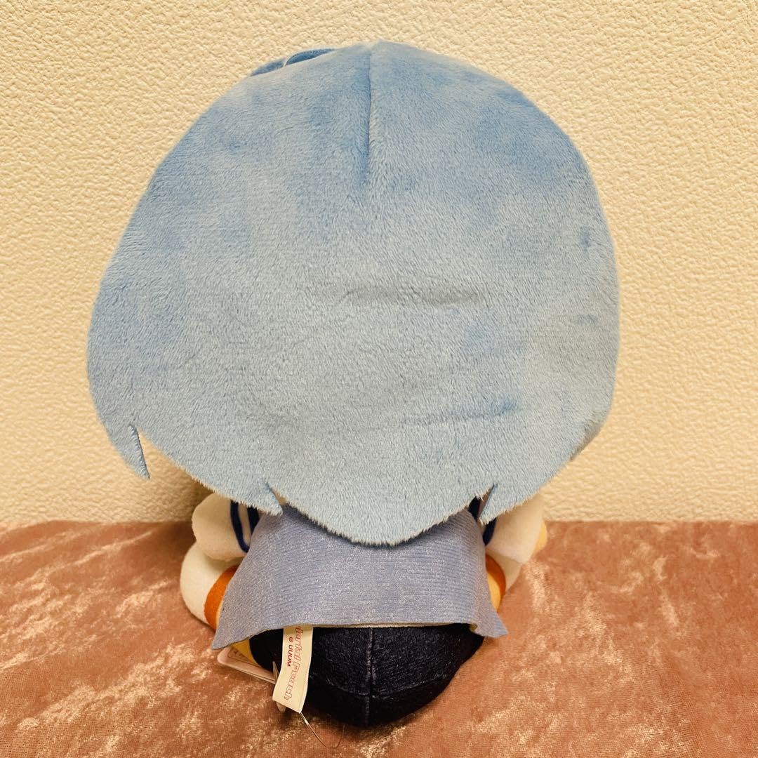 カラフルピーチ るな きゅるまるBIGぬいぐるみ ルナ Amazon.co.jp: カラフルピーチるなルナからぴちきゅるまるBIG