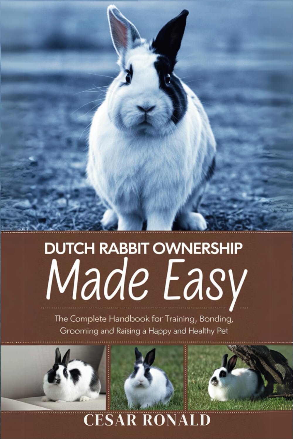 Dutch Rabbit Ownership Made Easy: The Complete Handbook For Training, Bonding, Grooming and Raising a Happy And Healthy Pet (The Rabbit Encyclopedia)
