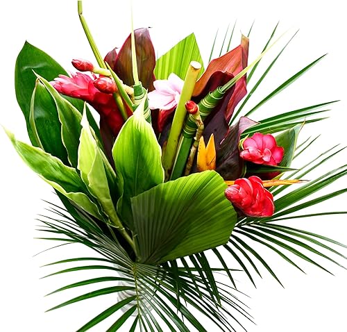 eflowerwholesale - Ramo tropical premium de Costa Rica -Este producto es de una marca de pequeñas empresas
